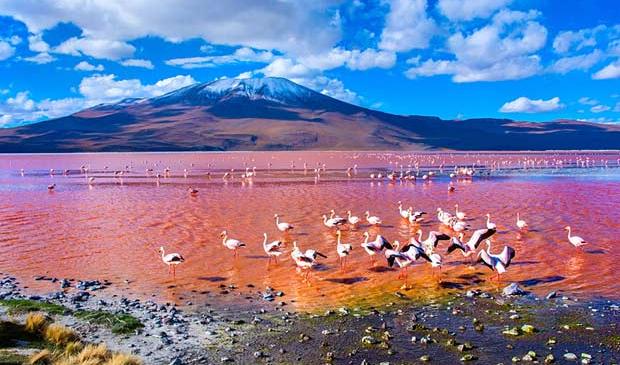 Lima-to-La-Paz-journey-through-Peru-and-Bolivia-TOP015_5